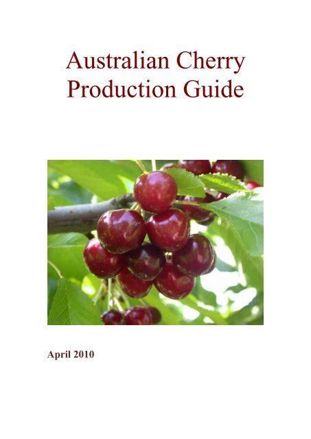 cherry pop production|Australian Cherry Production Guide .